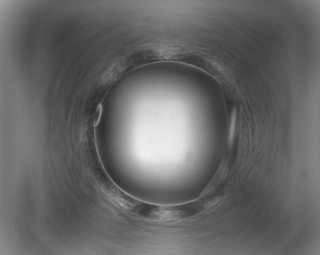 X0000078880221200611201419