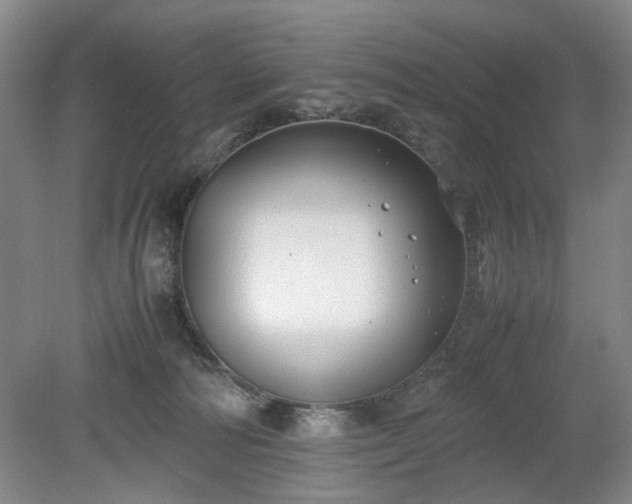 X0000078880226200611201419