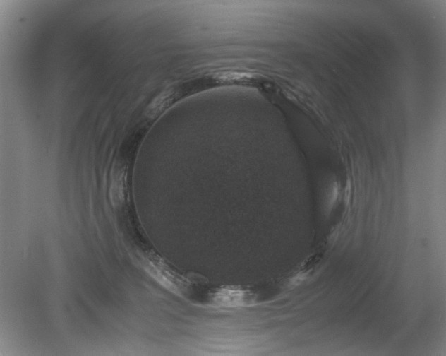 X0000078880227200611201419