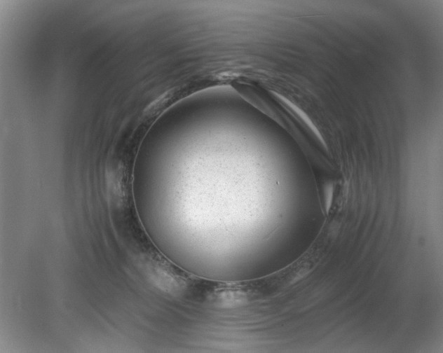 X0000078880228200611201419