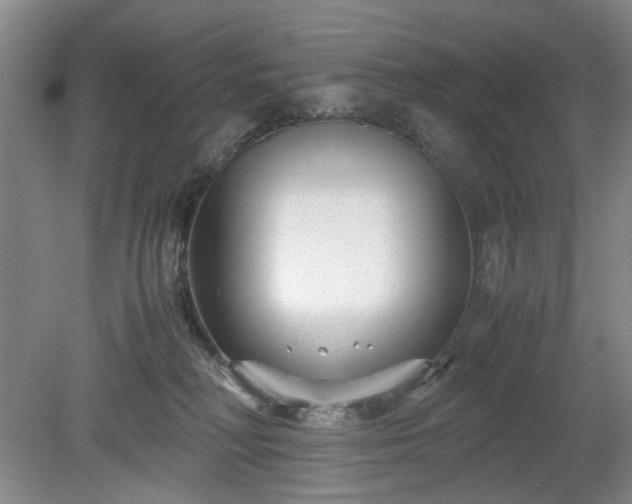 X0000078880230200611201419