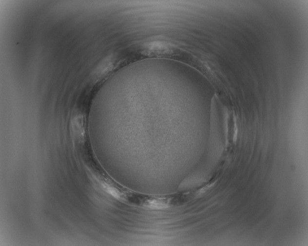 X0000078880232200611201419