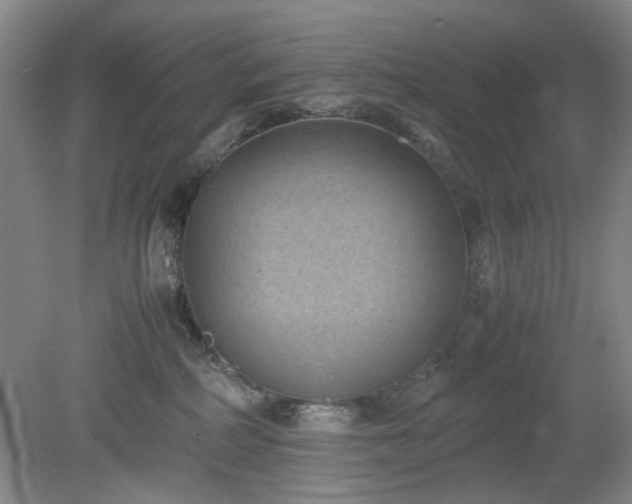 X0000078880234200611201419