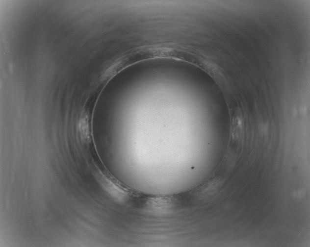 X0000078880238200611201419
