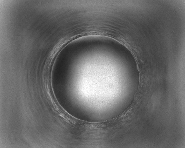 X0000078880241200611201418