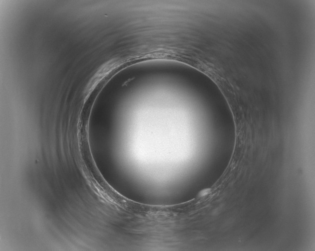X0000078880242200611201418
