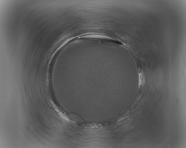X0000078880243200611201418