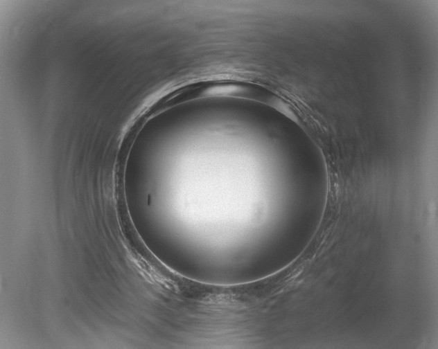 X0000078880244200611201418