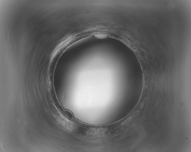 X0000078880245200611201418