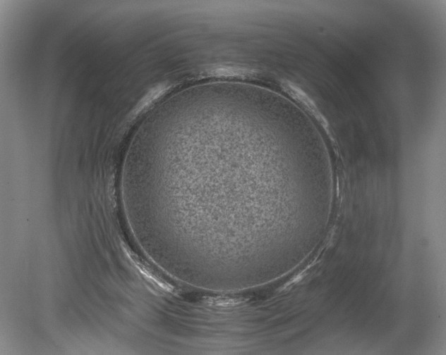 X0000078880249200611201418