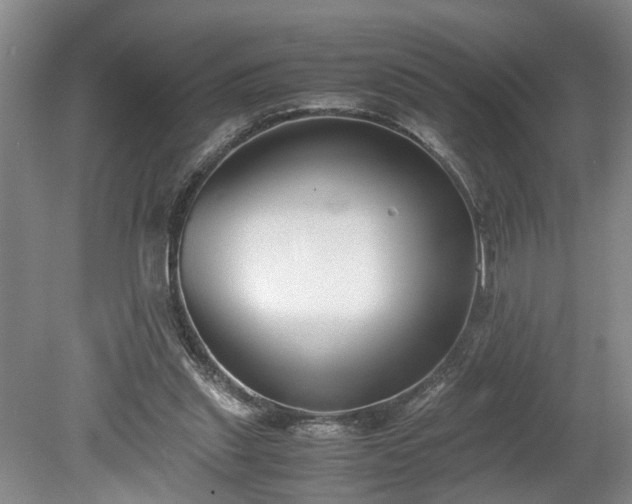 X0000078880253200611201418