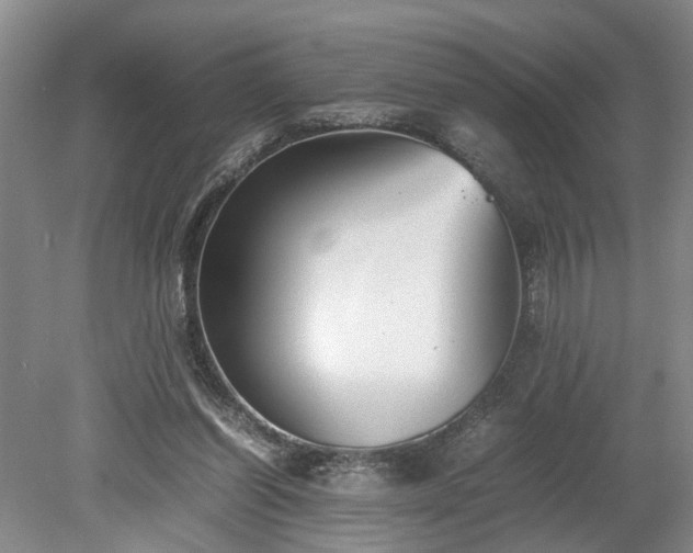 X0000078880254200611201418