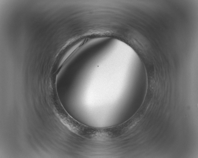 X0000078880256200611201418