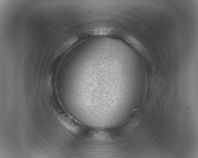 X0000078880258200611201418
