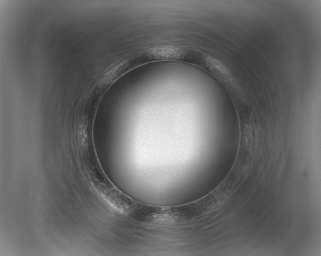 X0000078880259200611201418