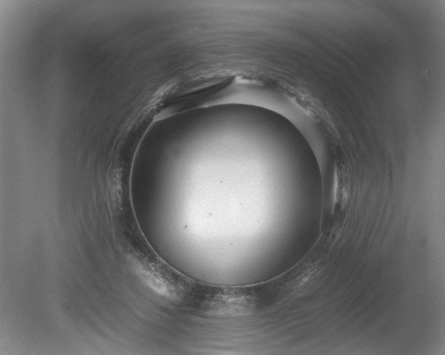 X0000078880260200611201418
