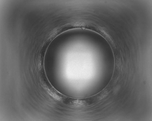 X0000078880261200611201418