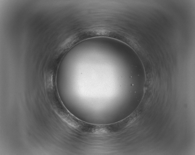 X0000078880262200611201418