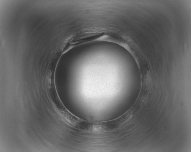X0000078880264200611201418