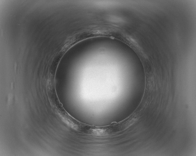 X0000078880265200611201418