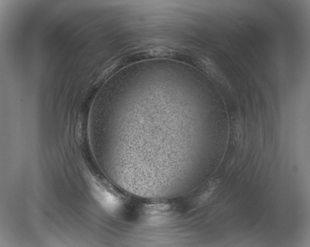 X0000078880266200611201418