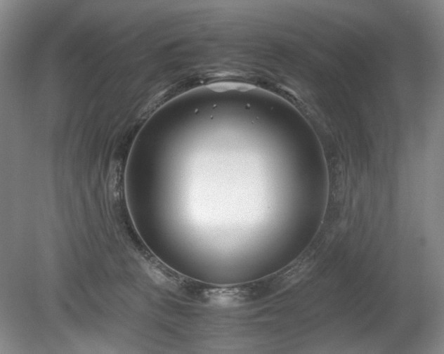 X0000078880273200611201418