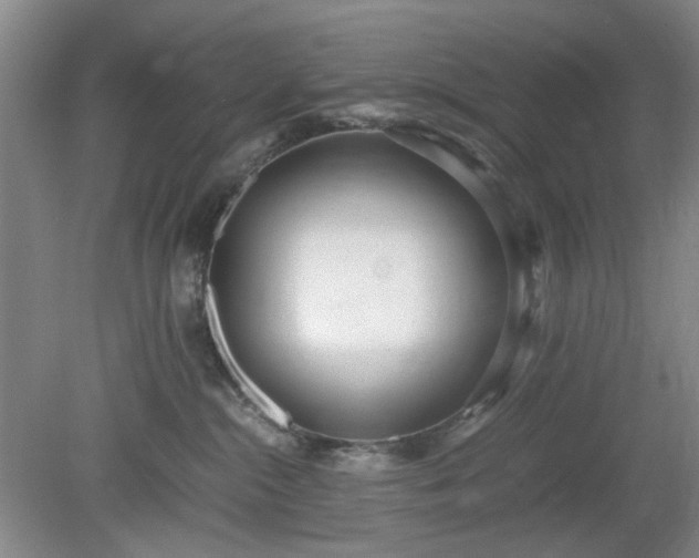 X0000078880284200611201418