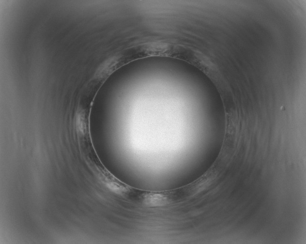 X0000078880287200611201419