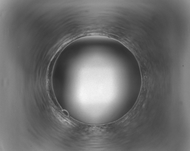 X0000078880290200611201418