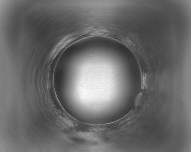 X0000078880291200611201418