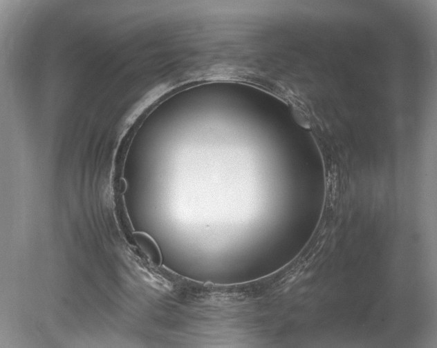 X0000078880292200611201418