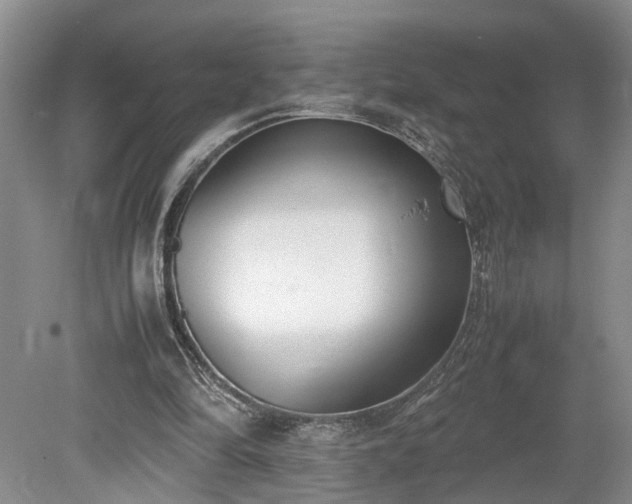 X0000078880294200611201418