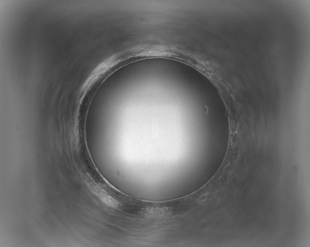 X0000078880296200611201418
