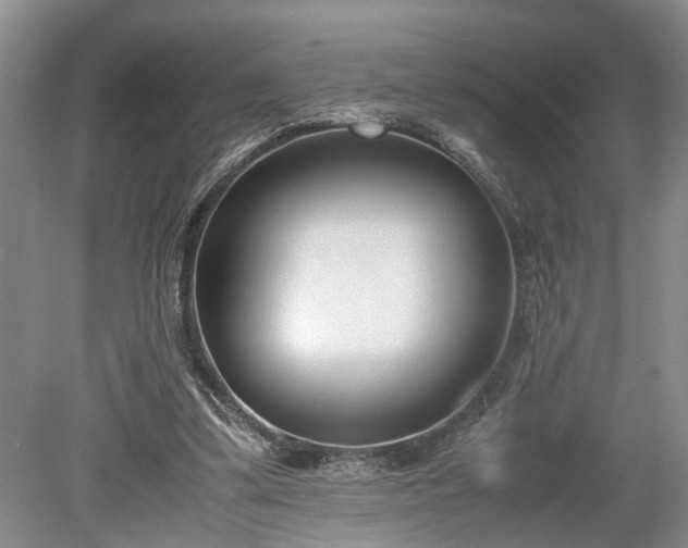 X0000078880299200611201418