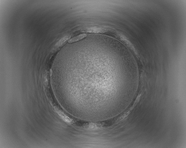 X0000078880305200611201417
