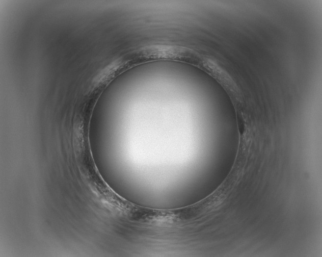 X0000078880306200611201417
