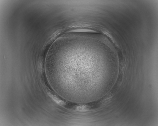 X0000078880309200611201417
