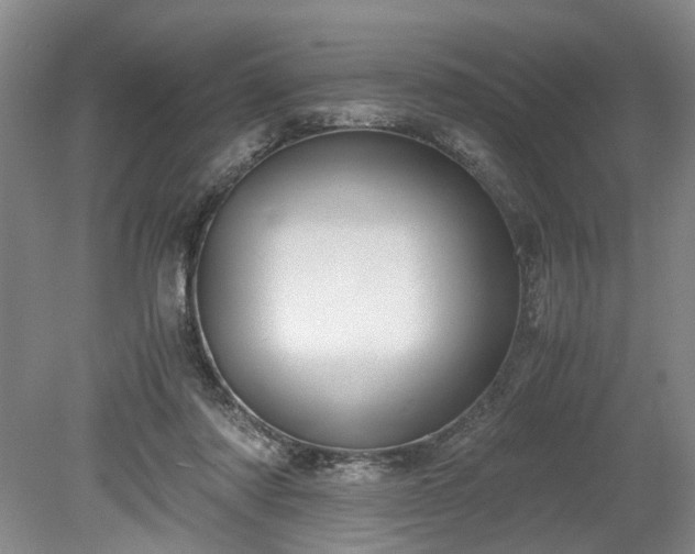 X0000078880310200611201417