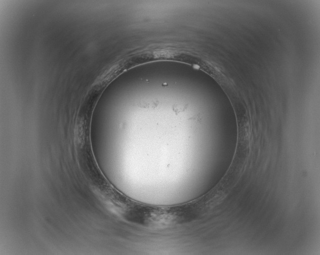 X0000078880311200611201417