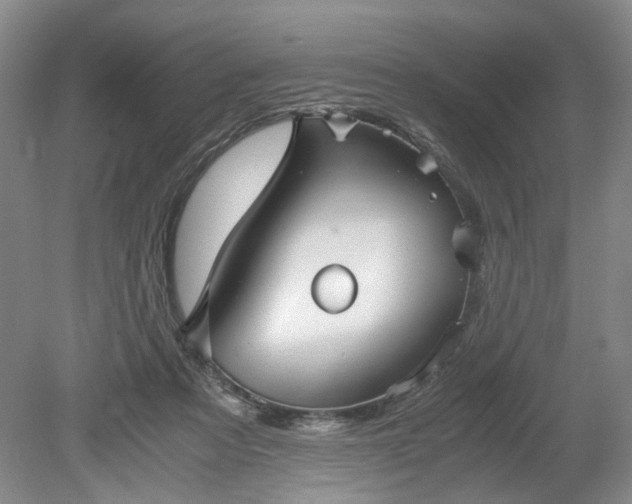 X0000078880313200611201417