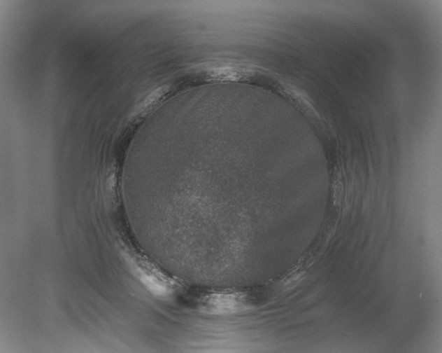 X0000078880314200611201417