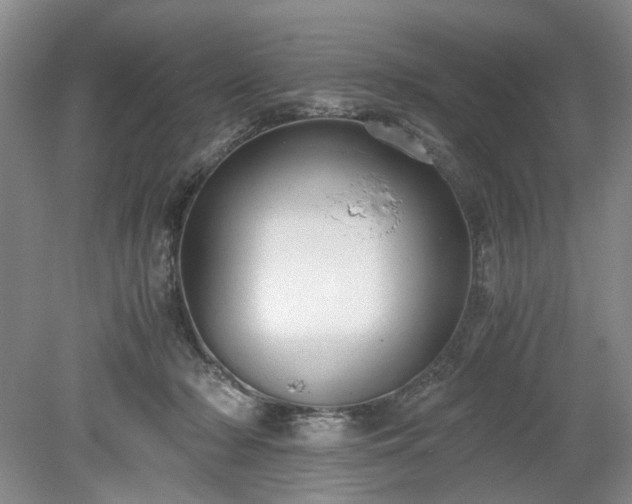 X0000078880318200611201417