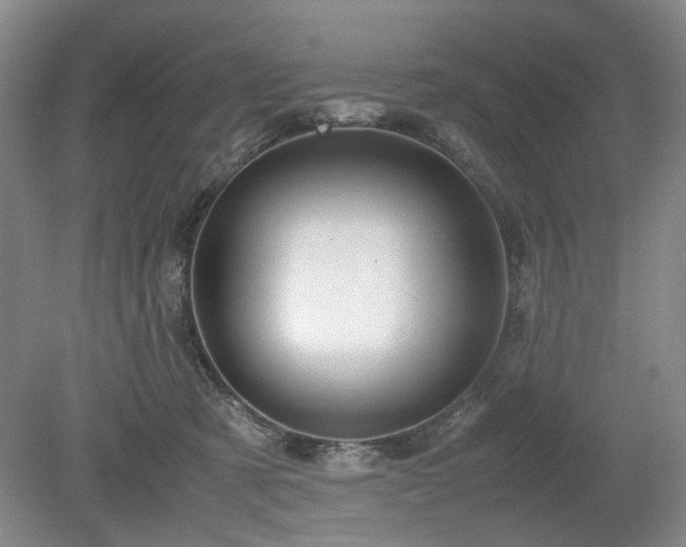 X0000078880321200611201417