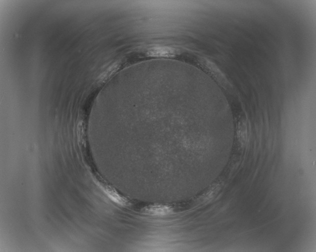 X0000078880322200611201417