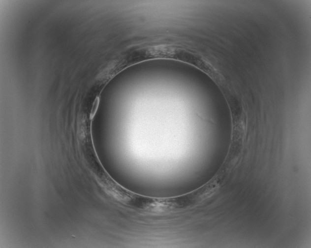 X0000078880323200611201417