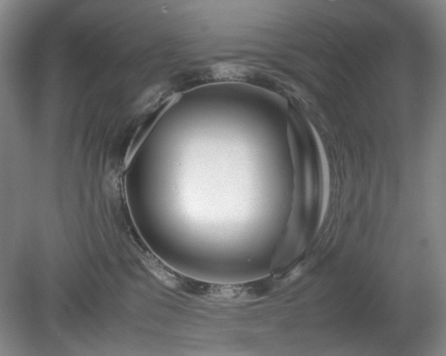 X0000078880329200611201417