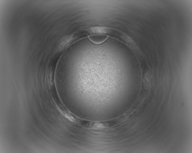 X0000078880330200611201417