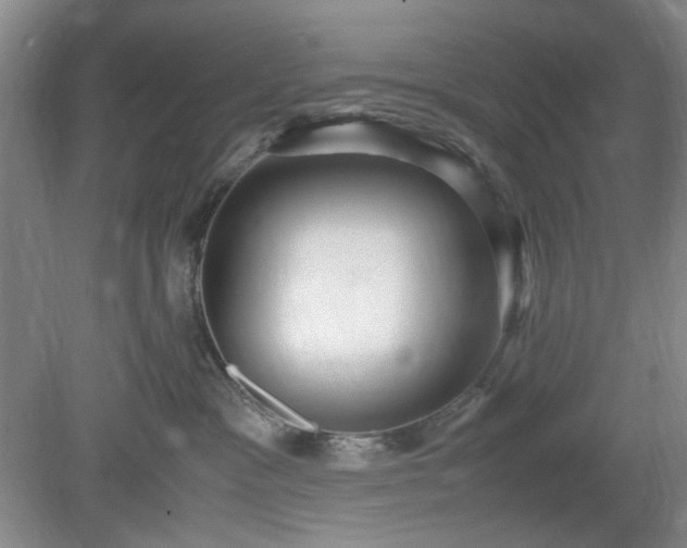 X0000078880333200611201417