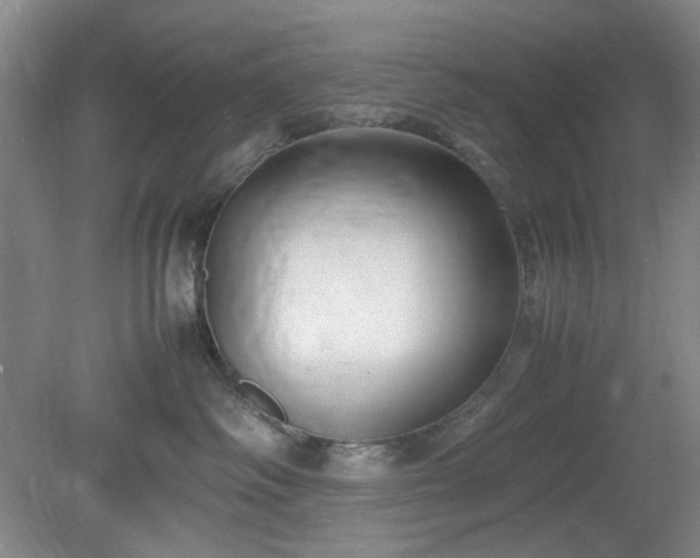 X0000078880334200611201417