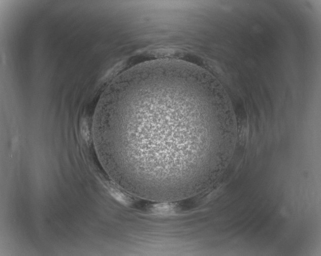 X0000078880335200611201417